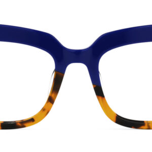 fludd-rectangular-blue-eyeglasses
